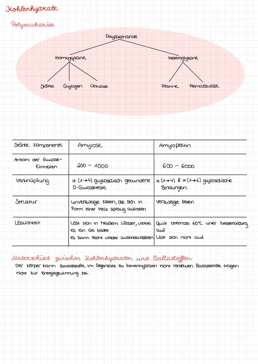 Kohlenhydrate Kohlenhydrate
Monosaccharide
Aldenydgruppe
ketogruppe
Alkoholgruppe
Glucose
H
HO
H
H
Fruktose
HO
H
H
H
НО
HO
H
CH₂OH
H
CH₂OH
G