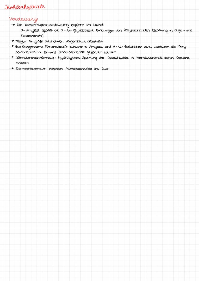 Kohlenhydrate Kohlenhydrate
Monosaccharide
Aldenydgruppe
ketogruppe
Alkoholgruppe
Glucose
H
HO
H
H
Fruktose
HO
H
H
H
НО
HO
H
CH₂OH
H
CH₂OH
G