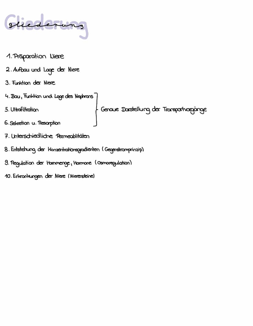 Die niere
}
100 Gliederung
1. Präparation Diere
2. Aufbau und Lage der Niere
3. Funktion der Niere
4. Bau, Funktion und Lage des Nephrons
5.