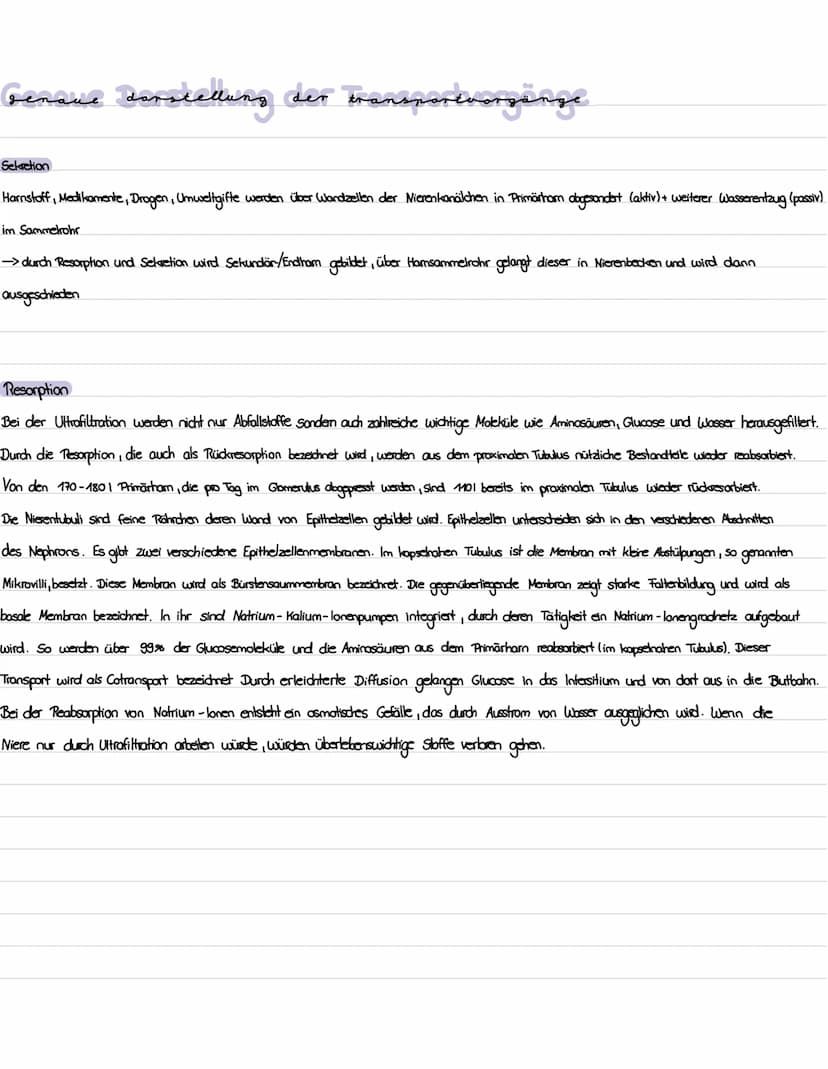 Die niere
}
100 Gliederung
1. Präparation Diere
2. Aufbau und Lage der Niere
3. Funktion der Niere
4. Bau, Funktion und Lage des Nephrons
5.