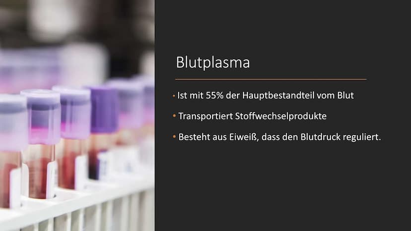 S
C
Das Blut
EINE PRÄSENTATION ERSTELLT
VON SERPIL BINDAL
25.05.2022 Inhalt
1. Was ist Blut?
2. Der Brutkreislauf
3. Die Bestandteile des Bl