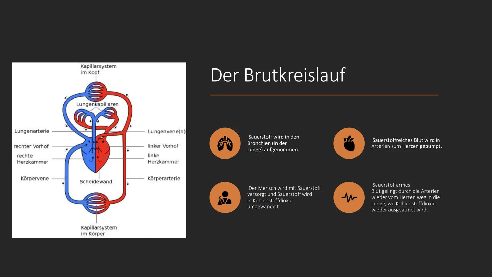 S
C
Das Blut
EINE PRÄSENTATION ERSTELLT
VON SERPIL BINDAL
25.05.2022 Inhalt
1. Was ist Blut?
2. Der Brutkreislauf
3. Die Bestandteile des Bl