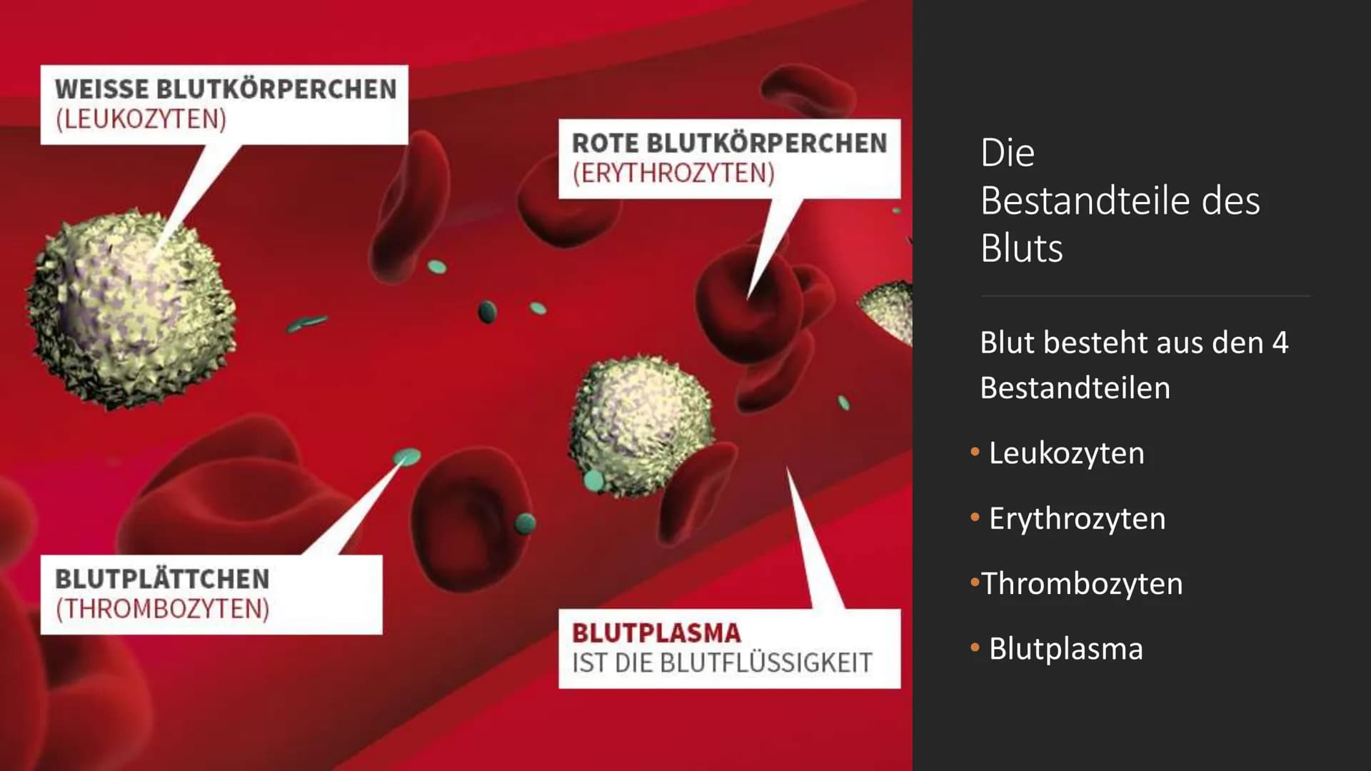 S
C
Das Blut
EINE PRÄSENTATION ERSTELLT
VON SERPIL BINDAL
25.05.2022 Inhalt
1. Was ist Blut?
2. Der Brutkreislauf
3. Die Bestandteile des Bl