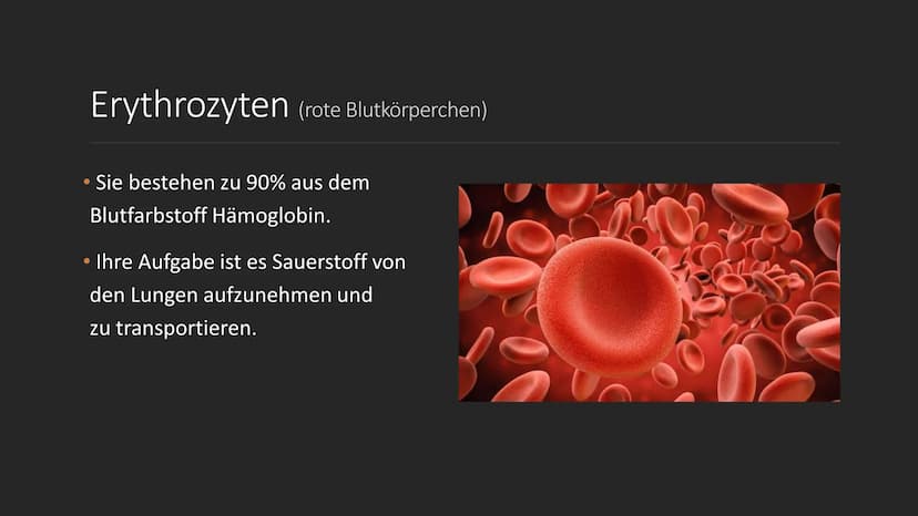 S
C
Das Blut
EINE PRÄSENTATION ERSTELLT
VON SERPIL BINDAL
25.05.2022 Inhalt
1. Was ist Blut?
2. Der Brutkreislauf
3. Die Bestandteile des Bl
