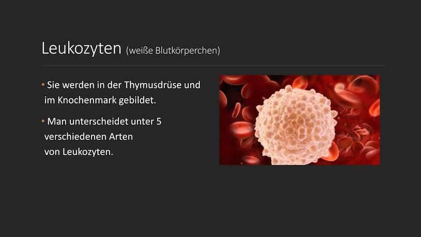 S
C
Das Blut
EINE PRÄSENTATION ERSTELLT
VON SERPIL BINDAL
25.05.2022 Inhalt
1. Was ist Blut?
2. Der Brutkreislauf
3. Die Bestandteile des Bl