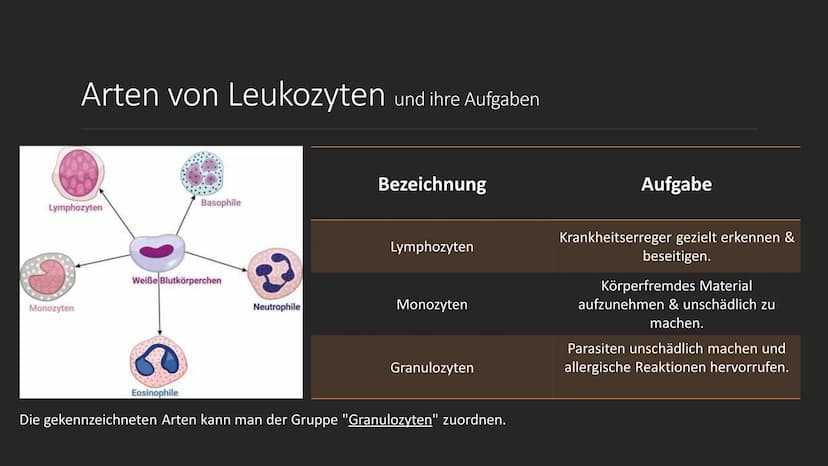 S
C
Das Blut
EINE PRÄSENTATION ERSTELLT
VON SERPIL BINDAL
25.05.2022 Inhalt
1. Was ist Blut?
2. Der Brutkreislauf
3. Die Bestandteile des Bl