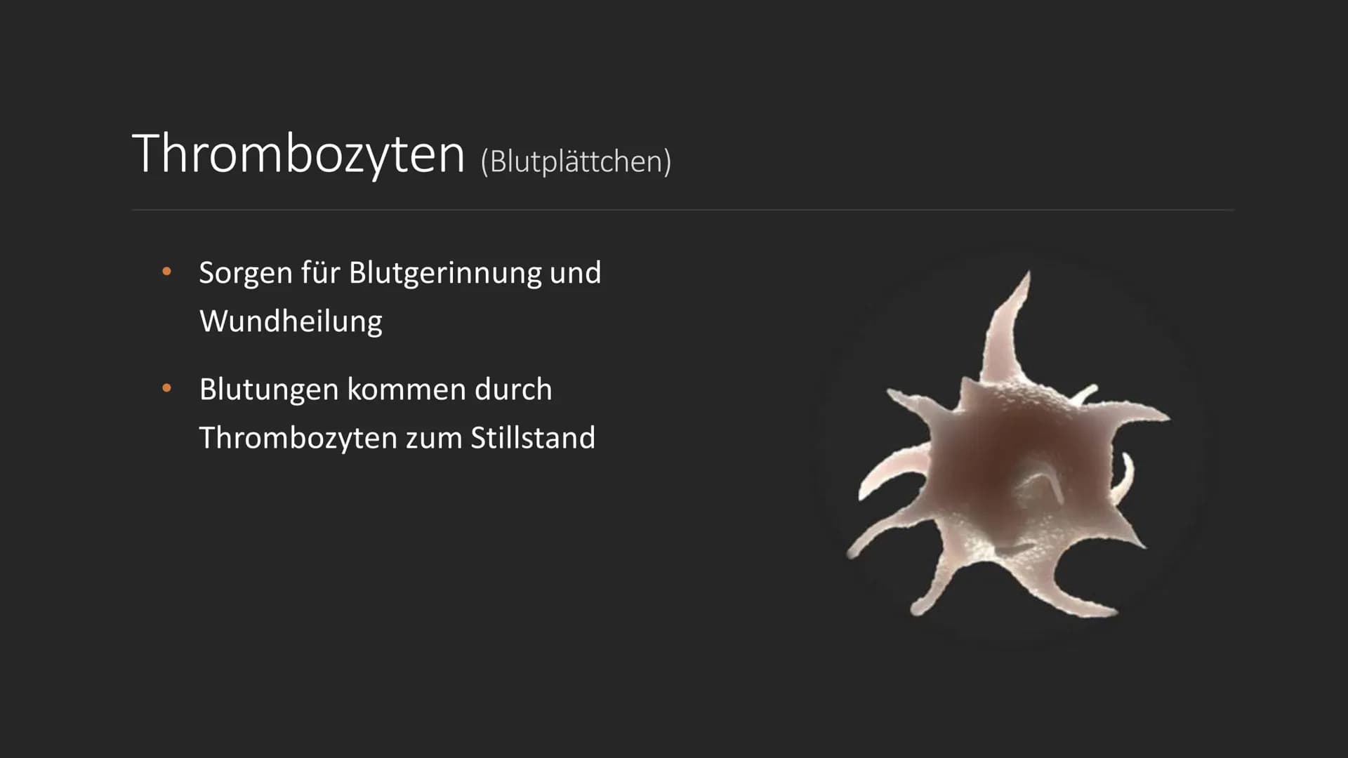 S
C
Das Blut
EINE PRÄSENTATION ERSTELLT
VON SERPIL BINDAL
25.05.2022 Inhalt
1. Was ist Blut?
2. Der Brutkreislauf
3. Die Bestandteile des Bl