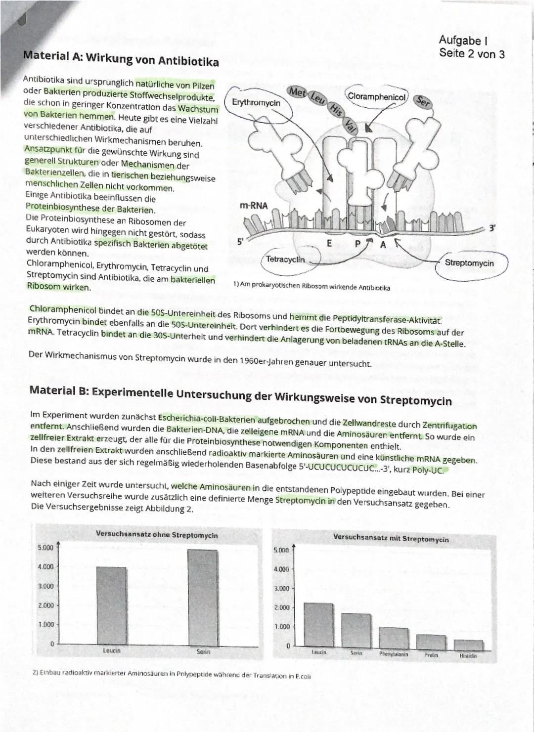 Bewertungsbogen zur 1. Klausur im LK Biologie Q2
Aufgabe I: Maßnahmen gegen bakterielle Infektionen
Teilaufgabe Anforderungen: Die Schülerin