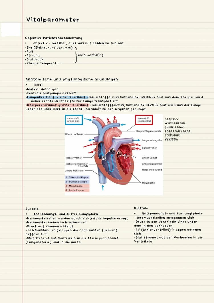 Know Vitalparameter (5) thumbnail