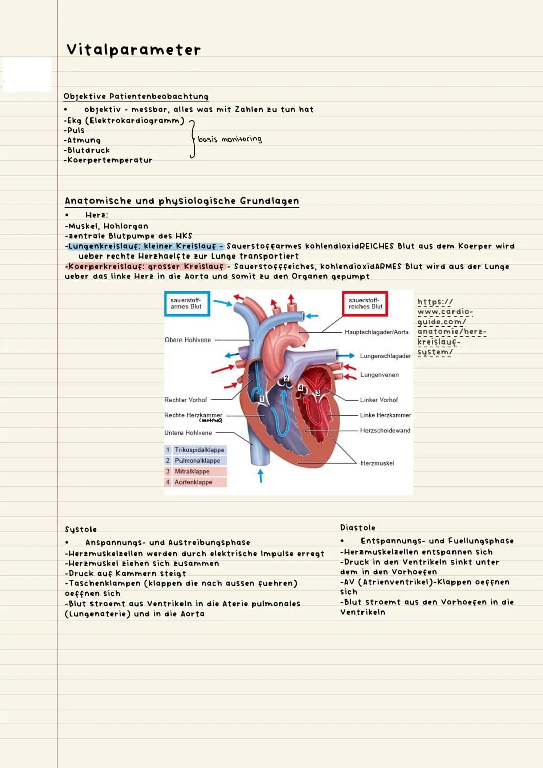 Vitalparameter
Objektive Patienten beobachtung
objektiv messbar, alles was mit Zahlen zu tun hat
-Ekg (Elektrokardiogramm)
-Puls
Jessis
●
-A
