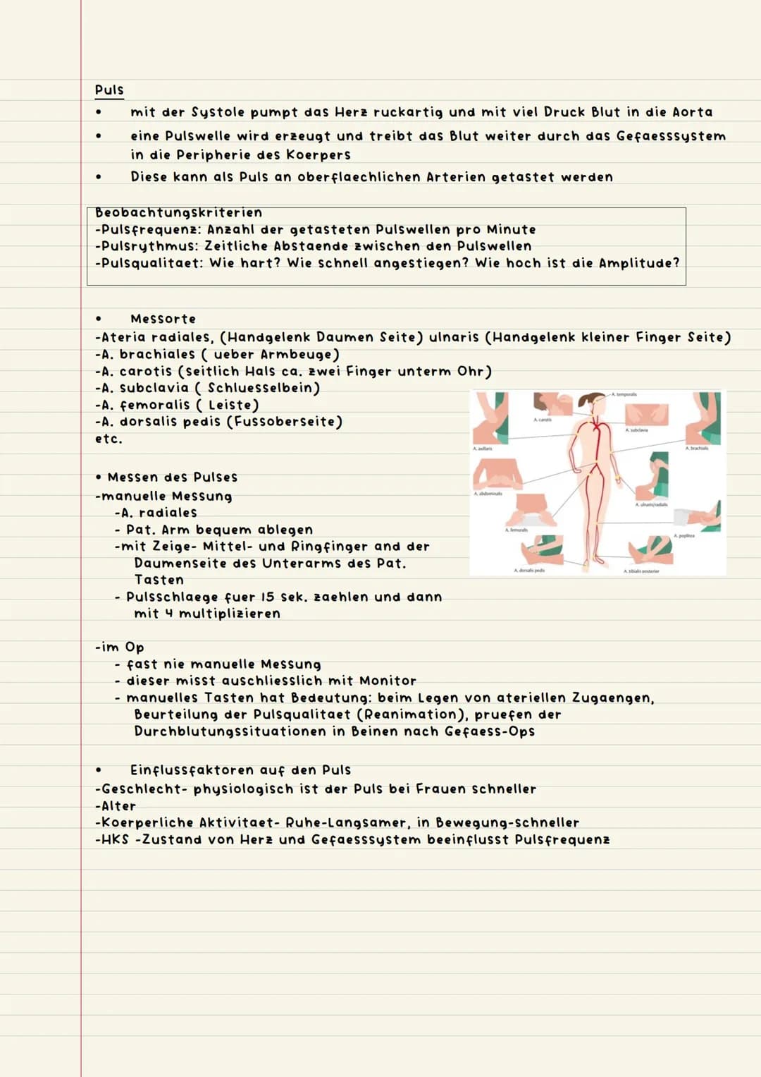 Vitalparameter
Objektive Patienten beobachtung
objektiv messbar, alles was mit Zahlen zu tun hat
-Ekg (Elektrokardiogramm)
-Puls
Jessis
●
-A