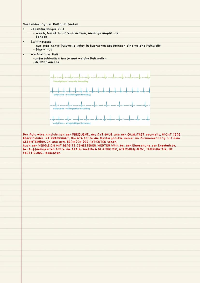 Vitalparameter
Objektive Patienten beobachtung
objektiv messbar, alles was mit Zahlen zu tun hat
-Ekg (Elektrokardiogramm)
-Puls
Jessis
●
-A