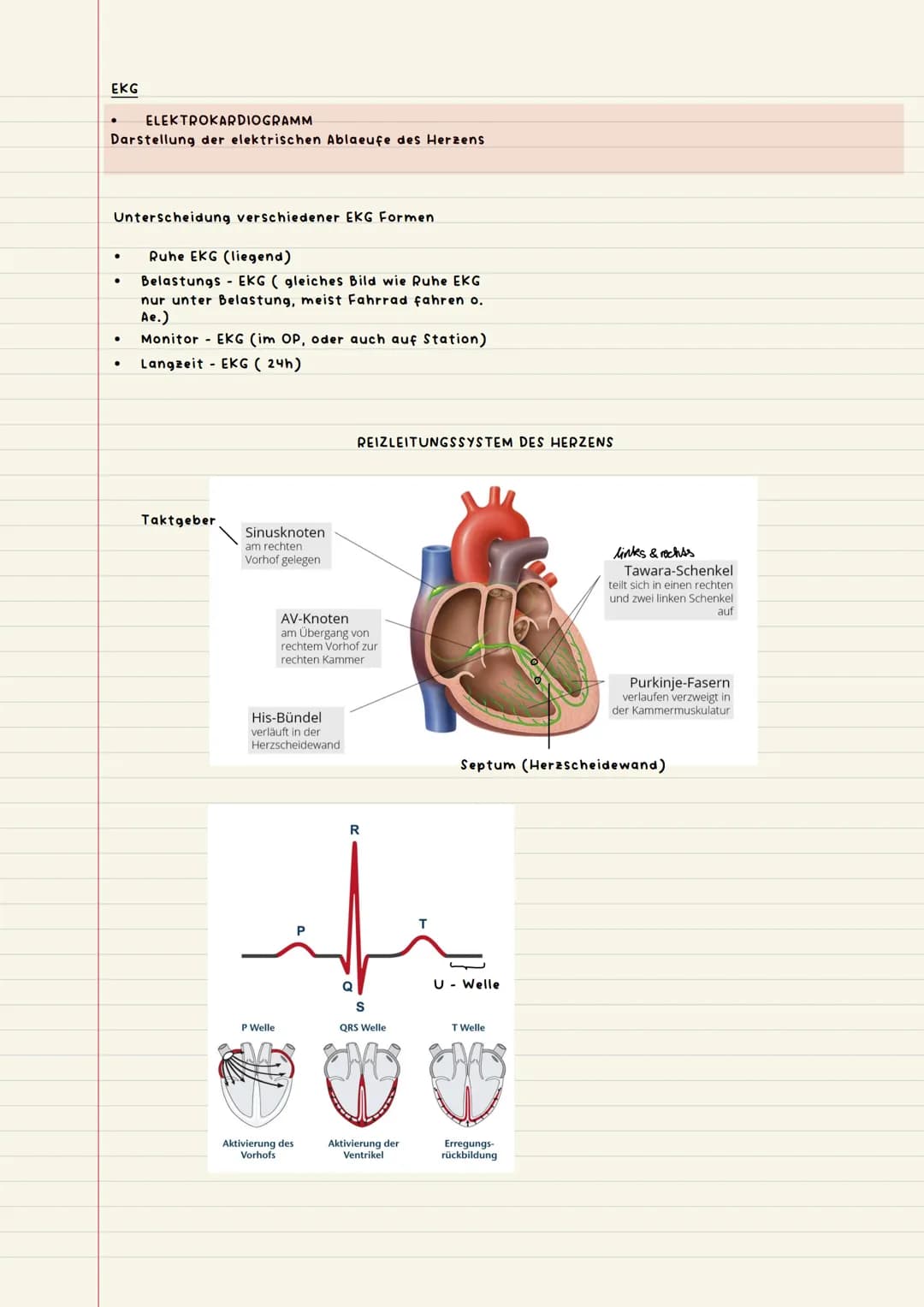 Vitalparameter
Objektive Patienten beobachtung
objektiv messbar, alles was mit Zahlen zu tun hat
-Ekg (Elektrokardiogramm)
-Puls
Jessis
●
-A