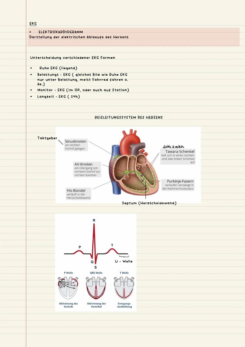 Vitalparameter
Objektive Patienten beobachtung
objektiv messbar, alles was mit Zahlen zu tun hat
-Ekg (Elektrokardiogramm)
-Puls
Jessis
●
-A