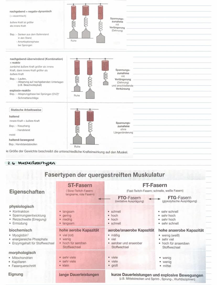 KRAFT
1. Bedeutung der Kraft
Kraft im biologischen Sinne ist die Fähigkeit des Nerv- Muskelsystems, durch Muskeltätigkeit
Widerstände zu übe