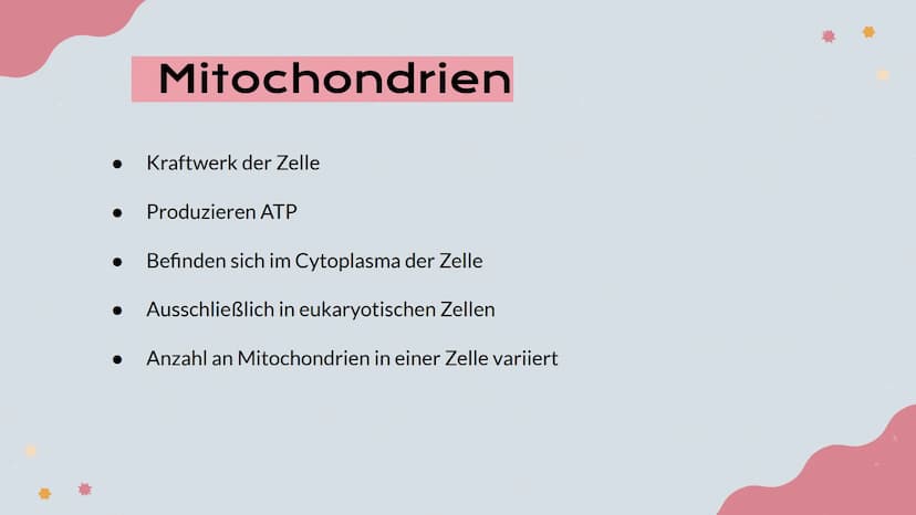 Mitochondrien
Präsentation von Lisa, Emma und Emely 1. Erklärung
2. Aufbau
№
Inhalt
3. Innere und Äußere Membran
4. Verschiedene Typen
5. Fu