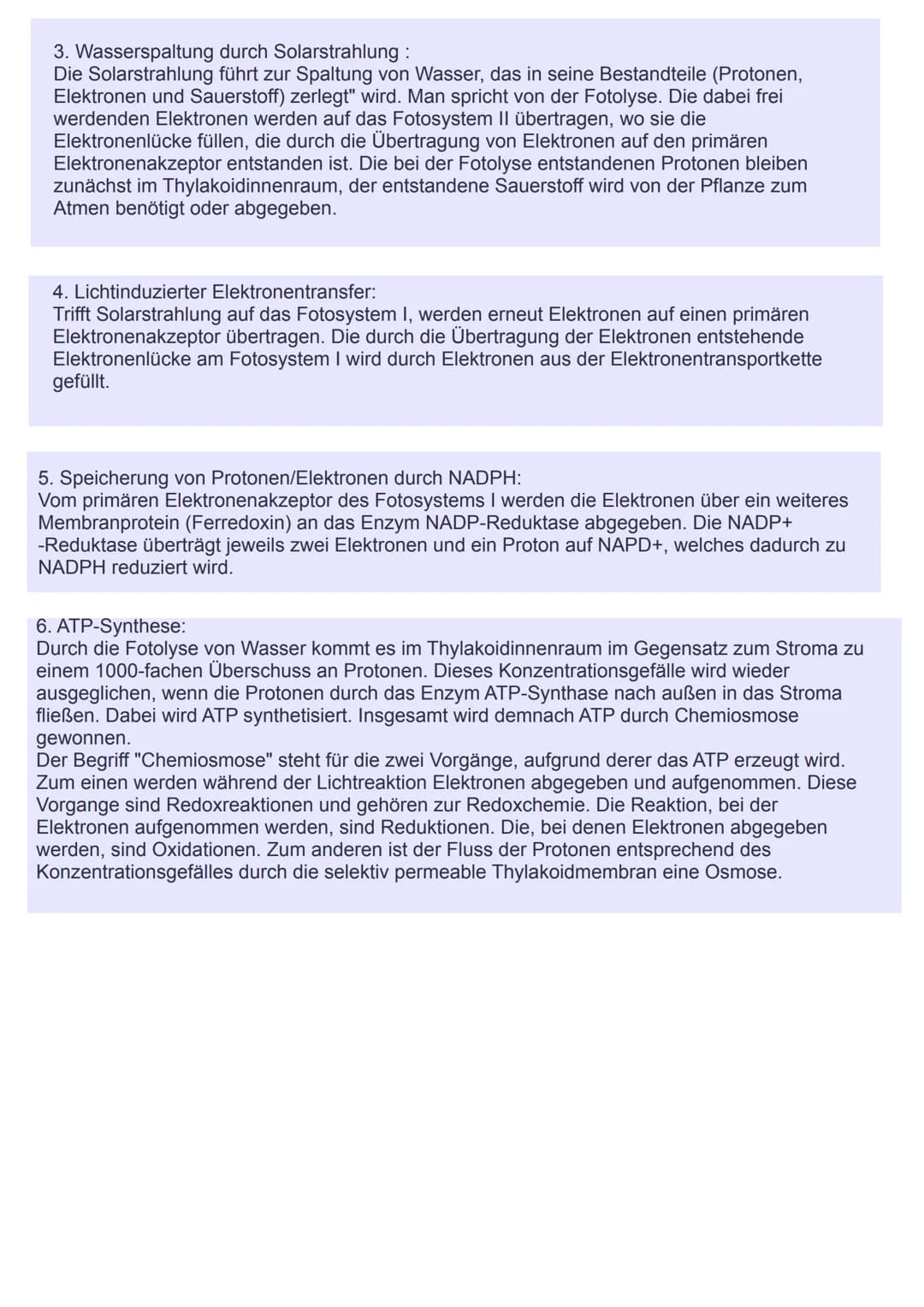 Stroma
Lichtreaktion der Fotosynthese
Solarstrahlung
Thylakoidlumen (H₂O
H*H*
Fotosystem
(P680)
primärer
Elektronenakzeptor
1. Lichtinduzier