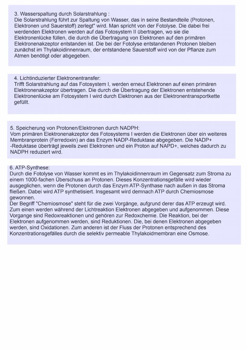 Stroma
Lichtreaktion der Fotosynthese
Solarstrahlung
Thylakoidlumen (H₂O
H*H*
Fotosystem
(P680)
primärer
Elektronenakzeptor
1. Lichtinduzier