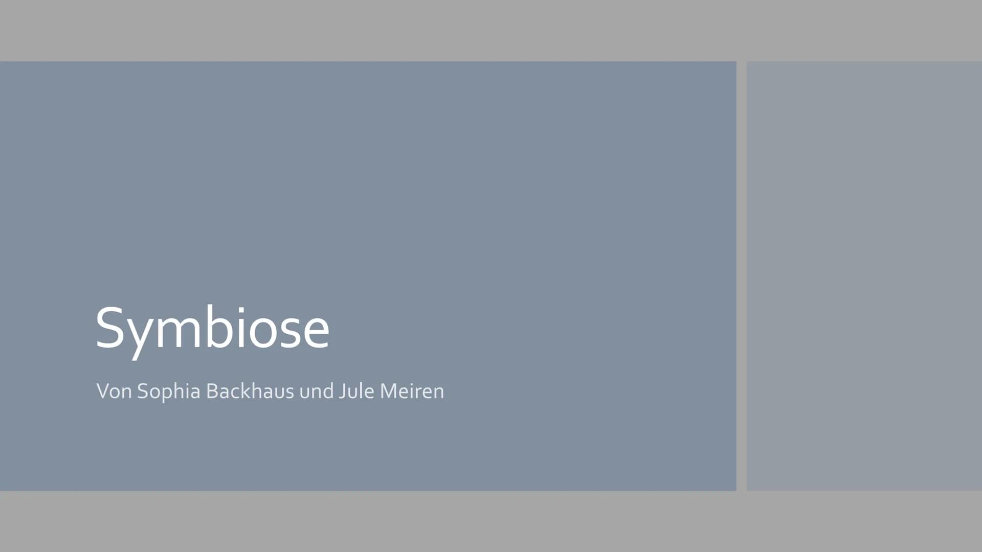 Symbiose
Von Sophia Backhaus und Jule Meiren Inhaltsverzeichnis
Symbiose Definition - was ist das?
Symbiotische Beziehungen - Die 3 Formen d