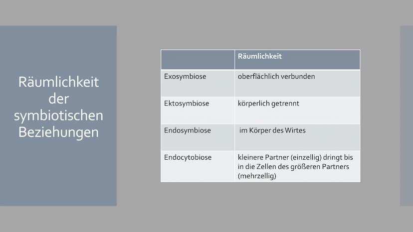 Symbiose
Von Sophia Backhaus und Jule Meiren Inhaltsverzeichnis
Symbiose Definition - was ist das?
Symbiotische Beziehungen - Die 3 Formen d