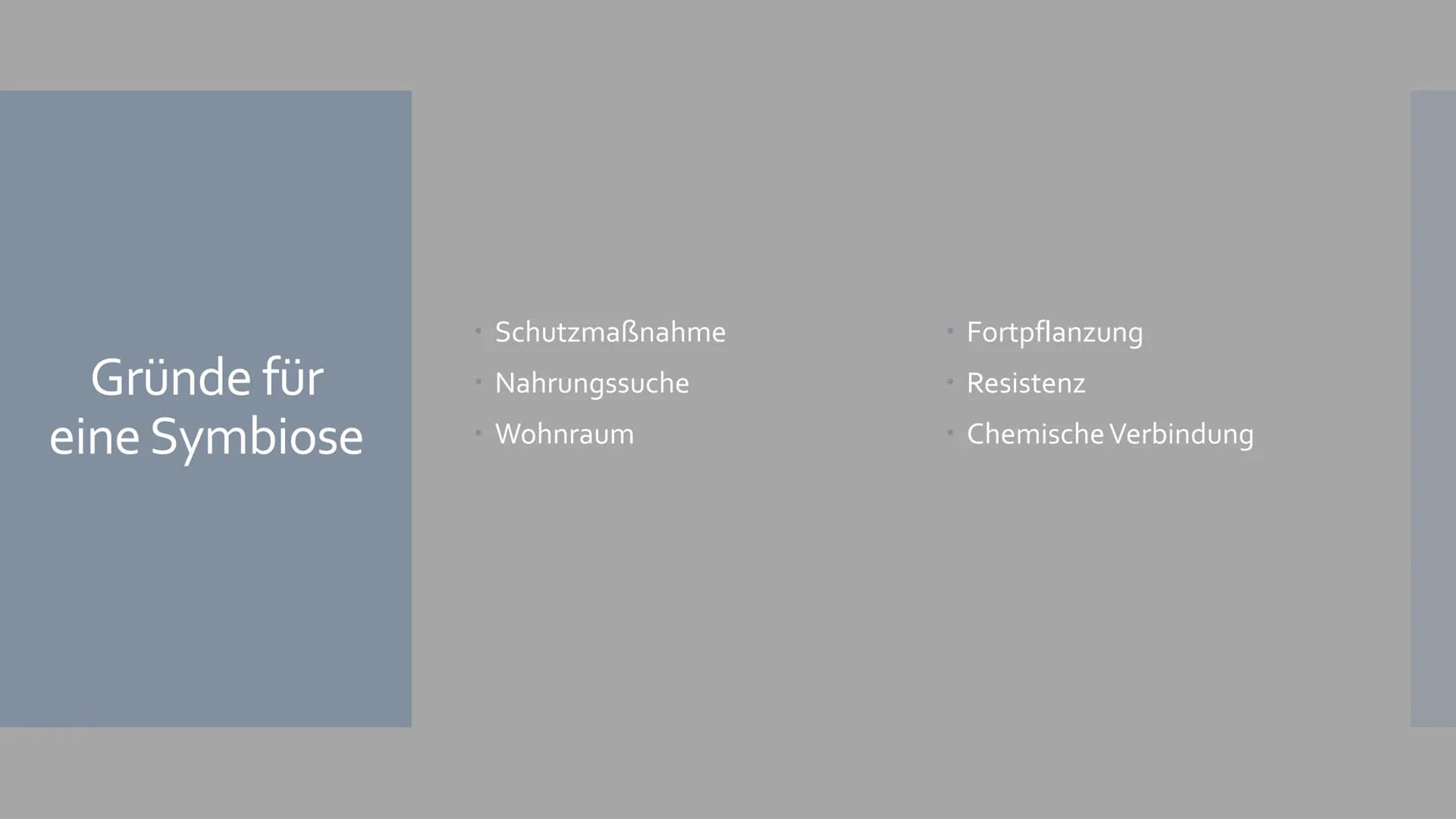 Symbiose
Von Sophia Backhaus und Jule Meiren Inhaltsverzeichnis
Symbiose Definition - was ist das?
Symbiotische Beziehungen - Die 3 Formen d