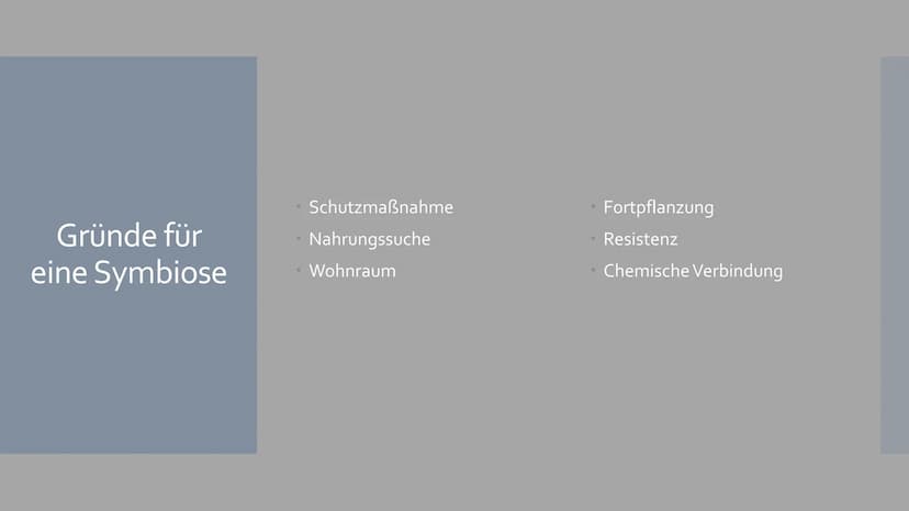 Symbiose
Von Sophia Backhaus und Jule Meiren Inhaltsverzeichnis
Symbiose Definition - was ist das?
Symbiotische Beziehungen - Die 3 Formen d