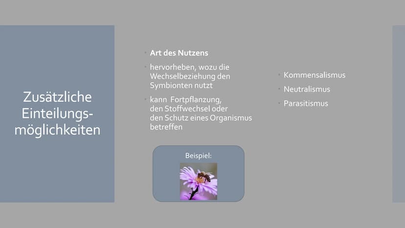 Symbiose
Von Sophia Backhaus und Jule Meiren Inhaltsverzeichnis
Symbiose Definition - was ist das?
Symbiotische Beziehungen - Die 3 Formen d