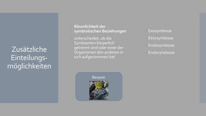 Symbiose
Von Sophia Backhaus und Jule Meiren Inhaltsverzeichnis
Symbiose Definition - was ist das?
Symbiotische Beziehungen - Die 3 Formen d