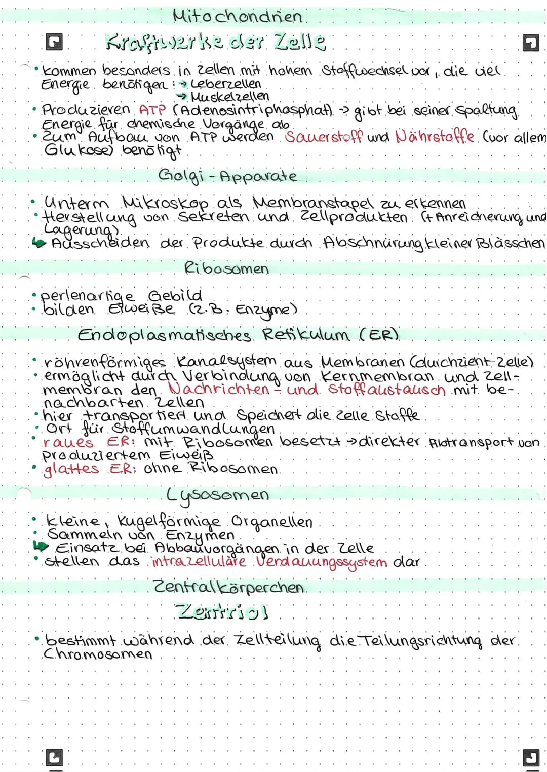 Anatomie und
Physiologie
Zellmembran
G
der Zelle
Umhüllung der Zelle
Barriere zur Außenwelt
nur für bestimmte Stoffe durchlässig
Dadurch: Re