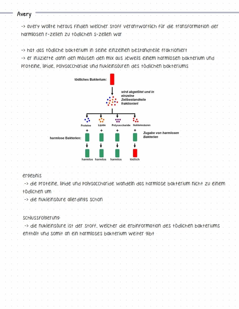 Experimente
Griffith
Genetik
-> forschte an bakterienstämmen, die eine lungenentzündung hervorrufen,
-> r-zelle nicht tödlich
-> S-zelle töd