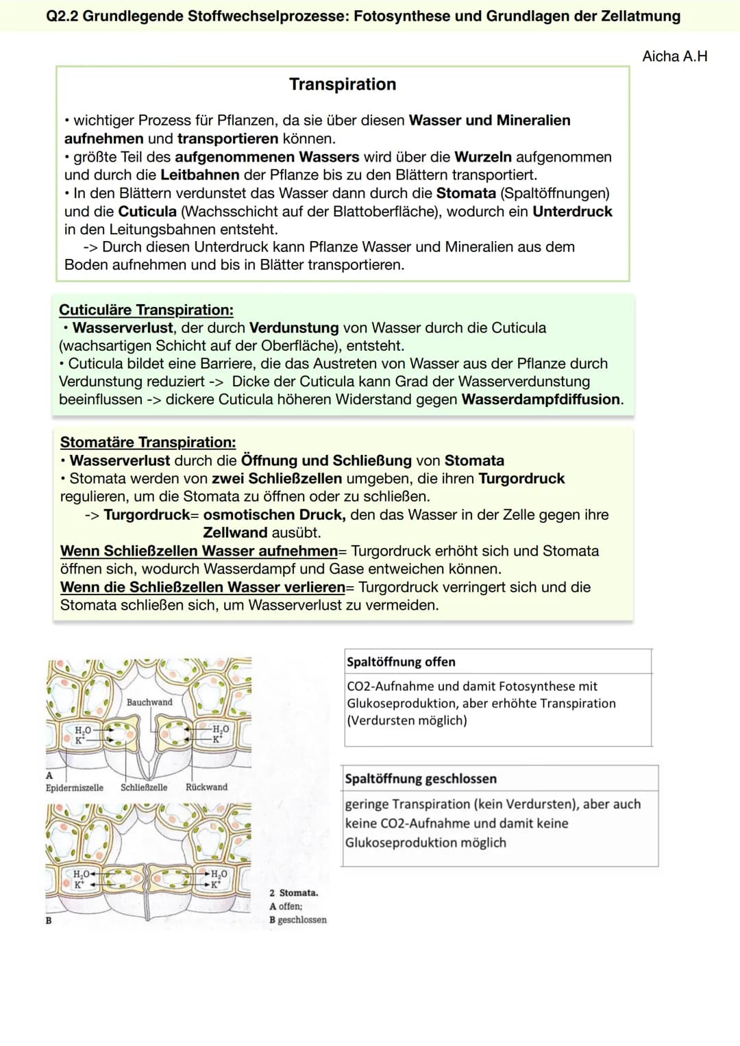 Q2.2 Grundlegende Stoffwechselprozesse:
Fotosynthese und Grundlagen der Zellatmung
Aicha A.H Q2.2 Grundlegende Stoffwechselprozesse: Fotosyn