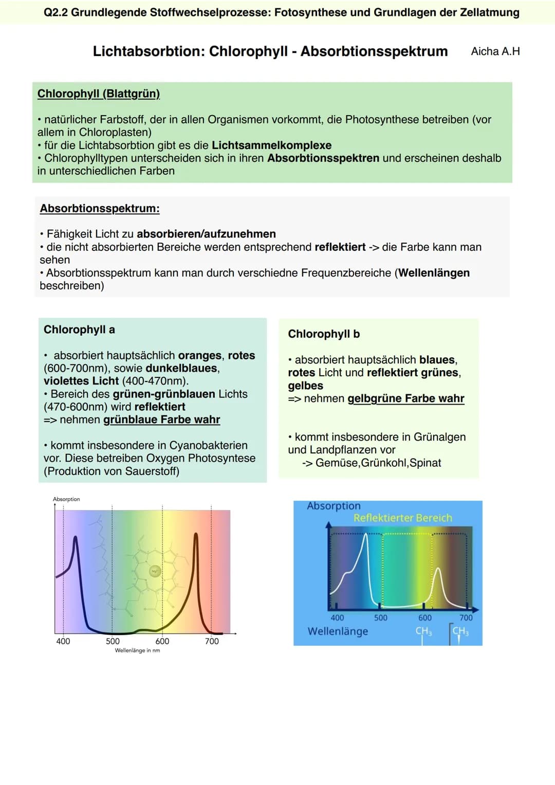 Q2.2 Grundlegende Stoffwechselprozesse:
Fotosynthese und Grundlagen der Zellatmung
Aicha A.H Q2.2 Grundlegende Stoffwechselprozesse: Fotosyn