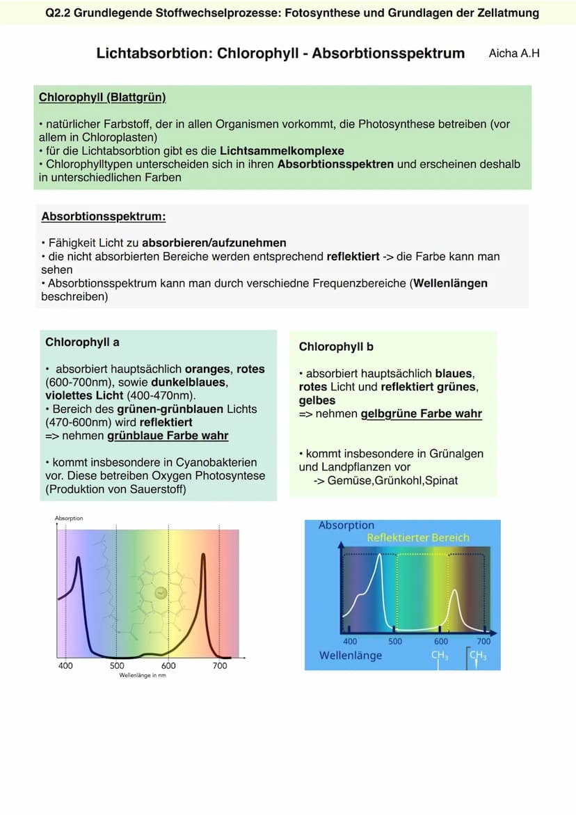 Q2.2 Grundlegende Stoffwechselprozesse:
Fotosynthese und Grundlagen der Zellatmung
Aicha A.H Q2.2 Grundlegende Stoffwechselprozesse: Fotosyn