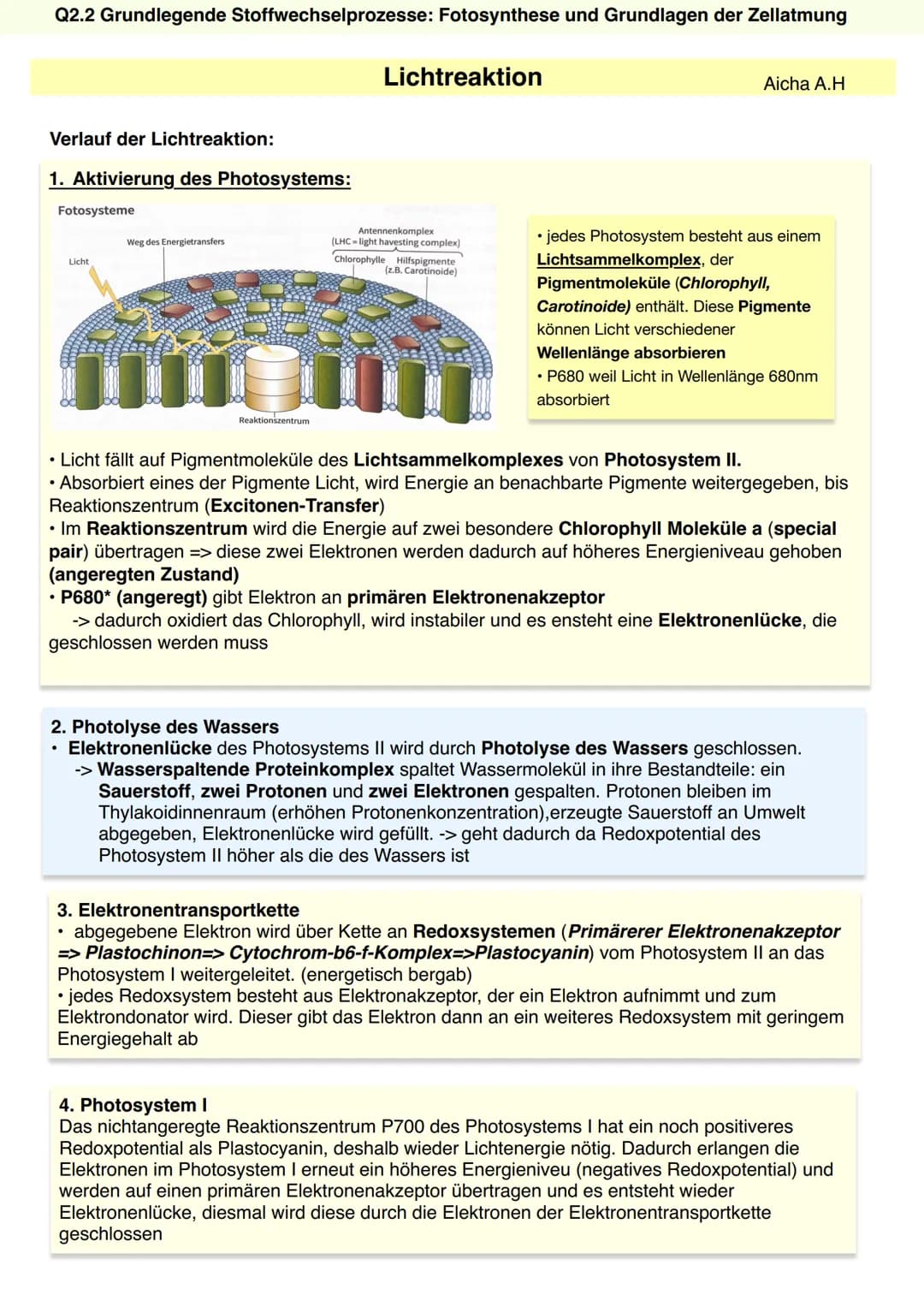 Q2.2 Grundlegende Stoffwechselprozesse:
Fotosynthese und Grundlagen der Zellatmung
Aicha A.H Q2.2 Grundlegende Stoffwechselprozesse: Fotosyn