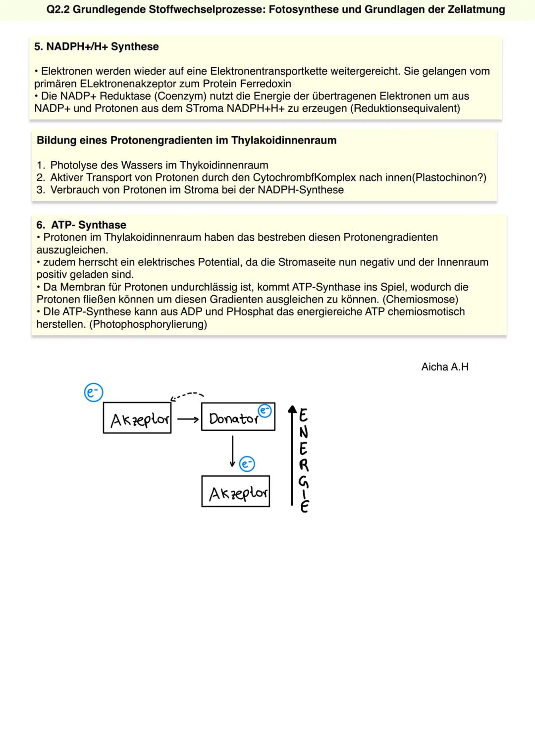 Q2.2 Grundlegende Stoffwechselprozesse:
Fotosynthese und Grundlagen der Zellatmung
Aicha A.H Q2.2 Grundlegende Stoffwechselprozesse: Fotosyn