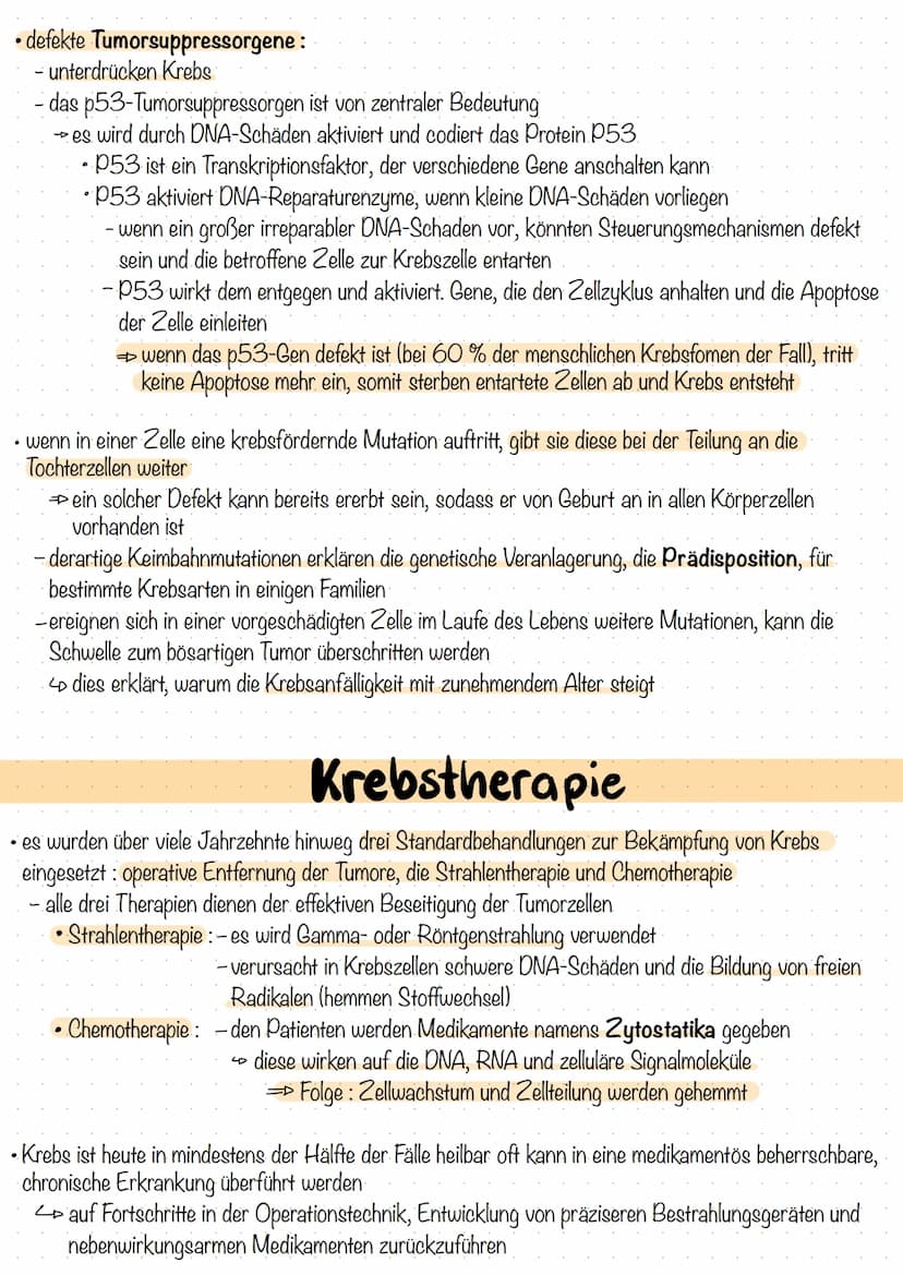 Krebs
als Krebs wird das autonome, ungesteuerte und invasive Wachstum von menschlichen und tierischen
Körperzellen bezeichnet
- Krebs ist di