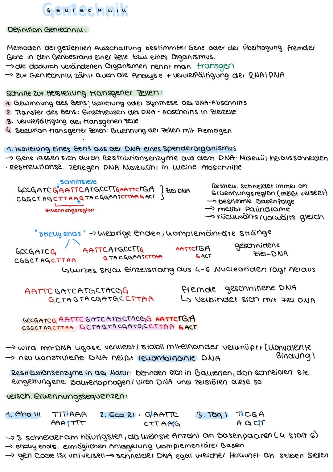 # GENTEC H NIK

Definition Gentechniu:

Methoden der gezieniien Ausschaltung bestimmter Gene oder der übertragung fremder
Gene in den Genbes