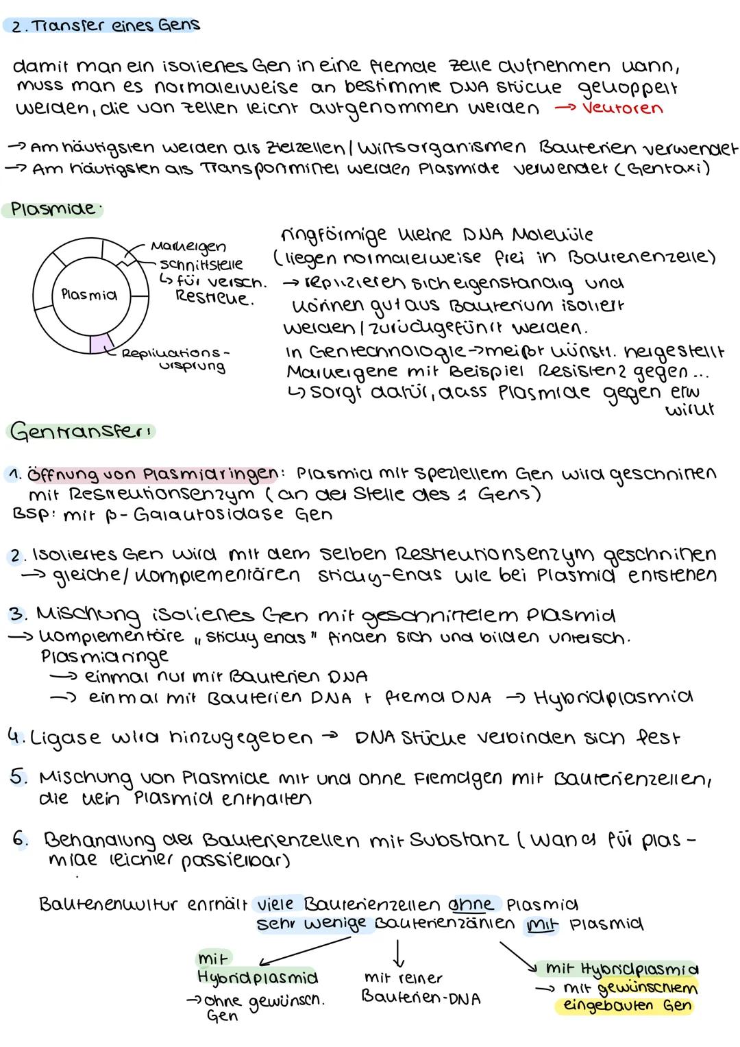 # GENTEC H NIK

Definition Gentechniu:

Methoden der gezieniien Ausschaltung bestimmter Gene oder der übertragung fremder
Gene in den Genbes