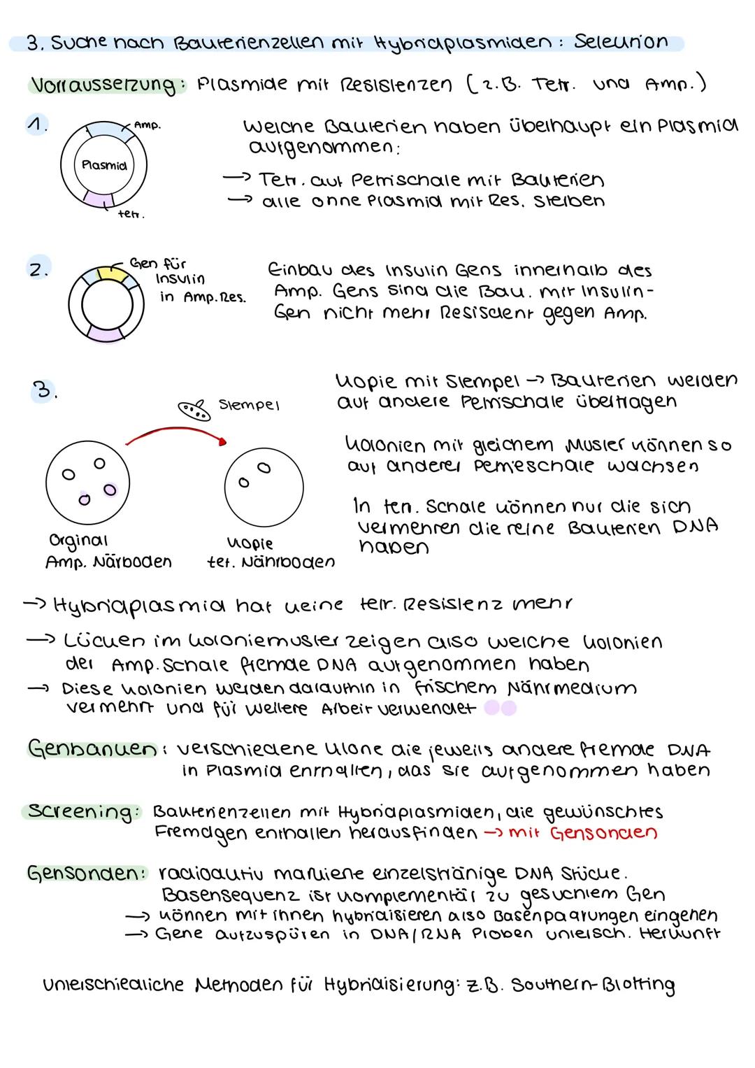 # GENTEC H NIK

Definition Gentechniu:

Methoden der gezieniien Ausschaltung bestimmter Gene oder der übertragung fremder
Gene in den Genbes