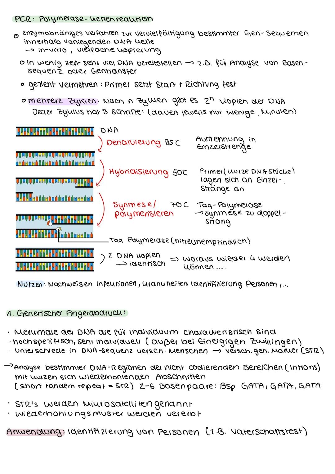 # GENTEC H NIK

Definition Gentechniu:

Methoden der gezieniien Ausschaltung bestimmter Gene oder der übertragung fremder
Gene in den Genbes