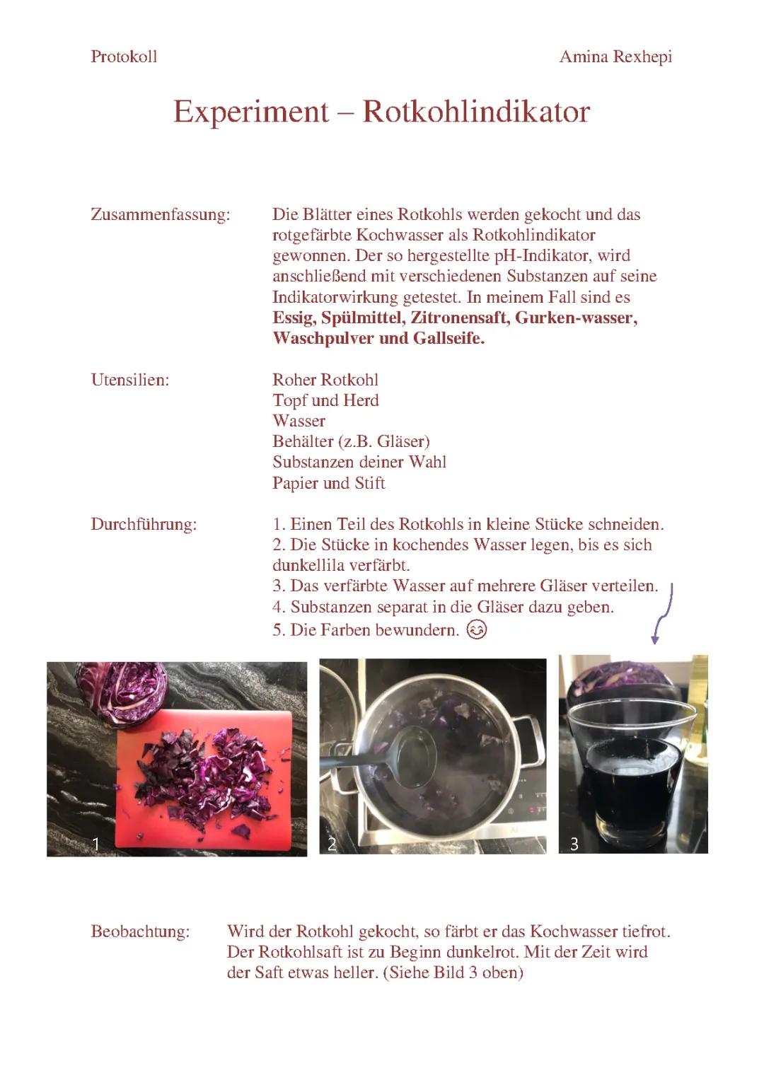 Rotkohl Indikator Experiment – Protokoll und Erklärung für Kinder