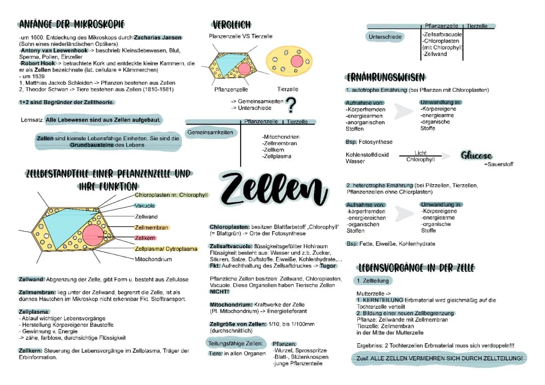 Zellen