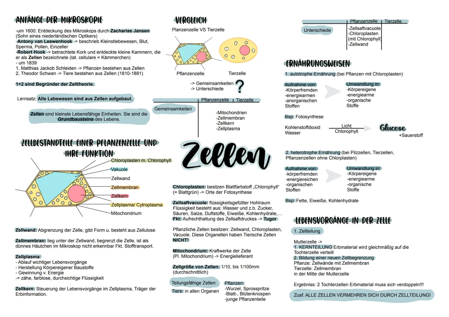 ANFÄNGE DER MIKROSKOPIE
-um 1600: Entdeckung des Mikroskops durch Zacharias Jansen
(Sohn eines niederländischen Optikers)
-Antony van Leewen