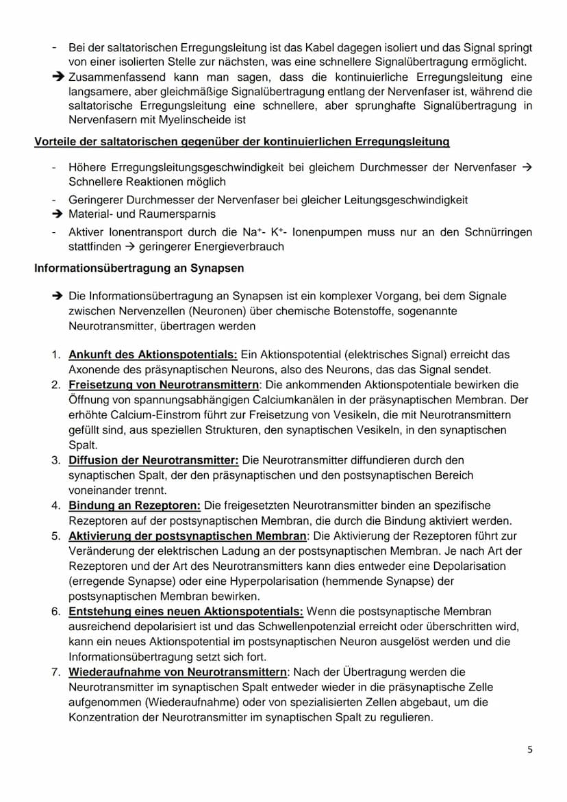 Gliederung
8.1: Nervenzellen und Nervensysteme
8.2: Das Ruhepotenzial
8.3: Das Aktionspotenzial an Nervenzellen
8.4: Kontinuierliche und sal
