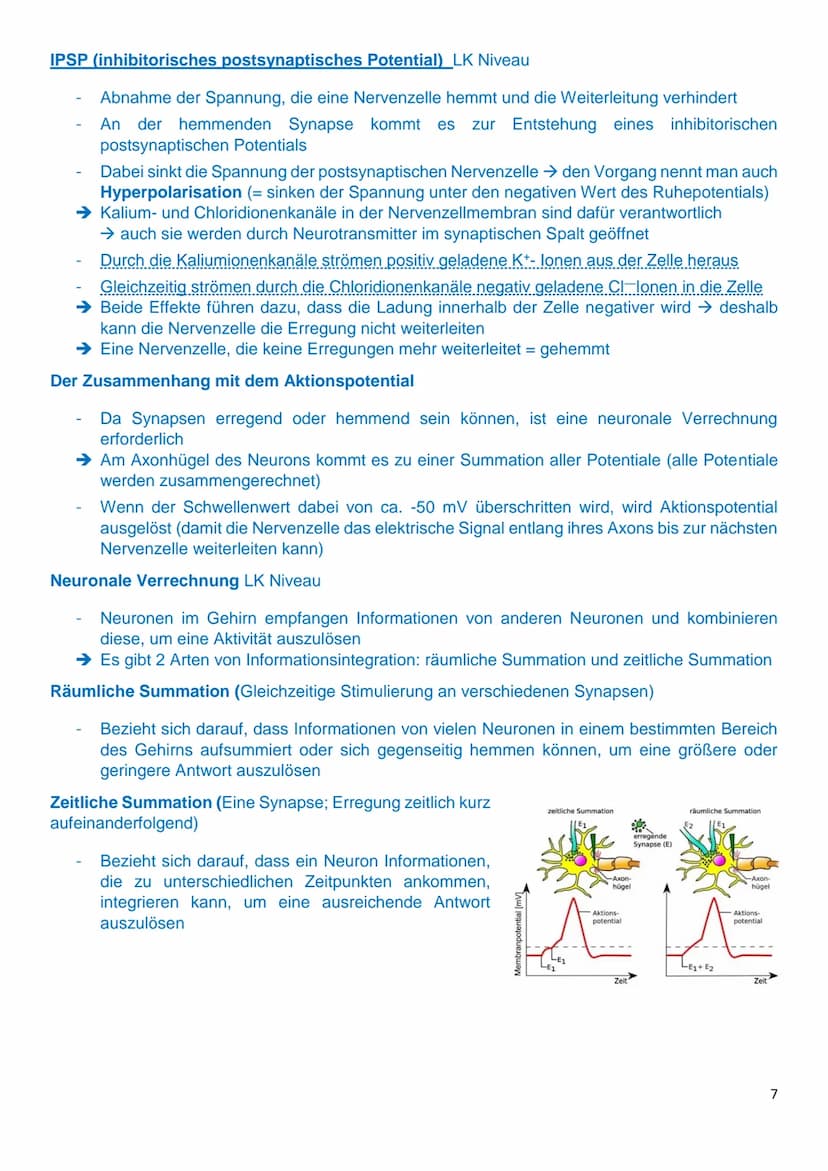 Gliederung
8.1: Nervenzellen und Nervensysteme
8.2: Das Ruhepotenzial
8.3: Das Aktionspotenzial an Nervenzellen
8.4: Kontinuierliche und sal