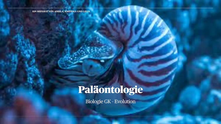 Know Paläontologie - Fossilien thumbnail