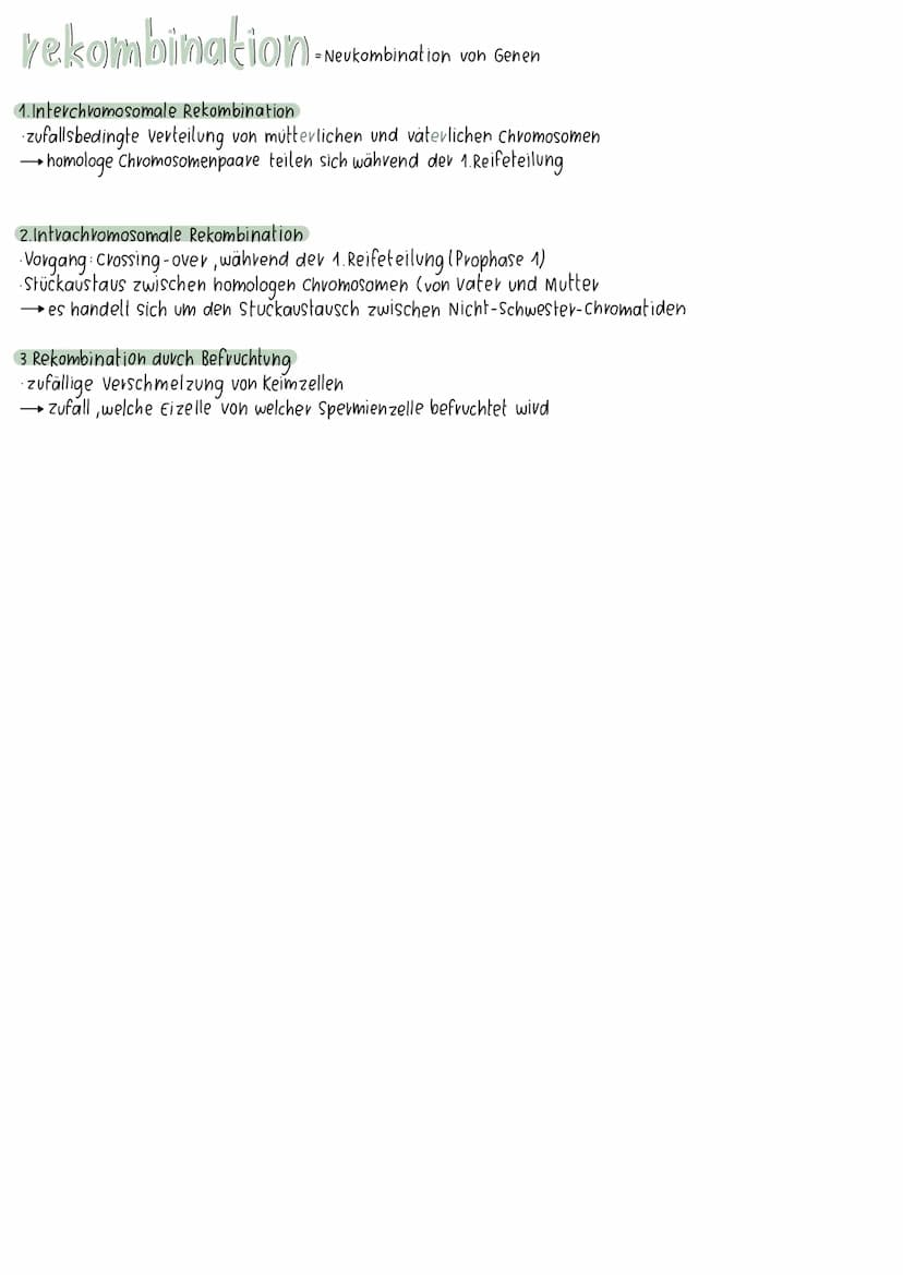 meiose
Interphase I
7
Prophase II
Prophase I
Metaphase II
Metaphase I
Anaphase II
28-881
Anaphase I
Telophase II
Interphase:
Chromosomen und