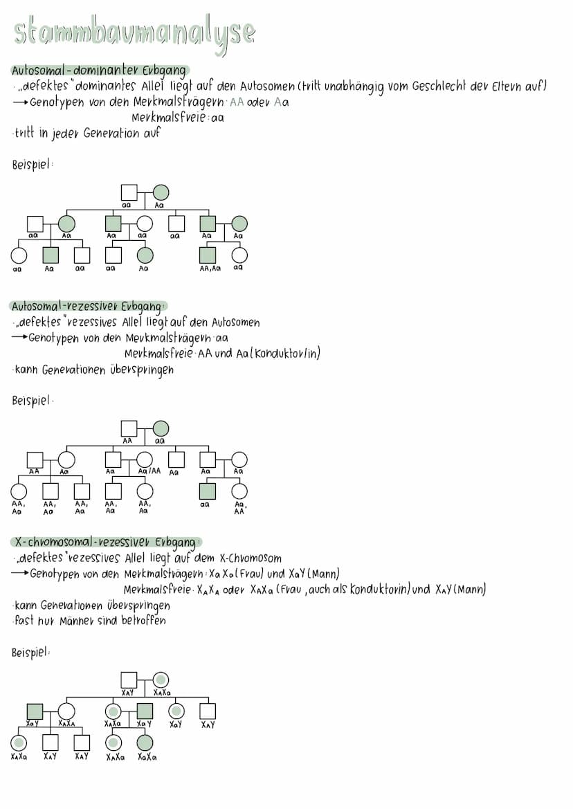 meiose
Interphase I
7
Prophase II
Prophase I
Metaphase II
Metaphase I
Anaphase II
28-881
Anaphase I
Telophase II
Interphase:
Chromosomen und