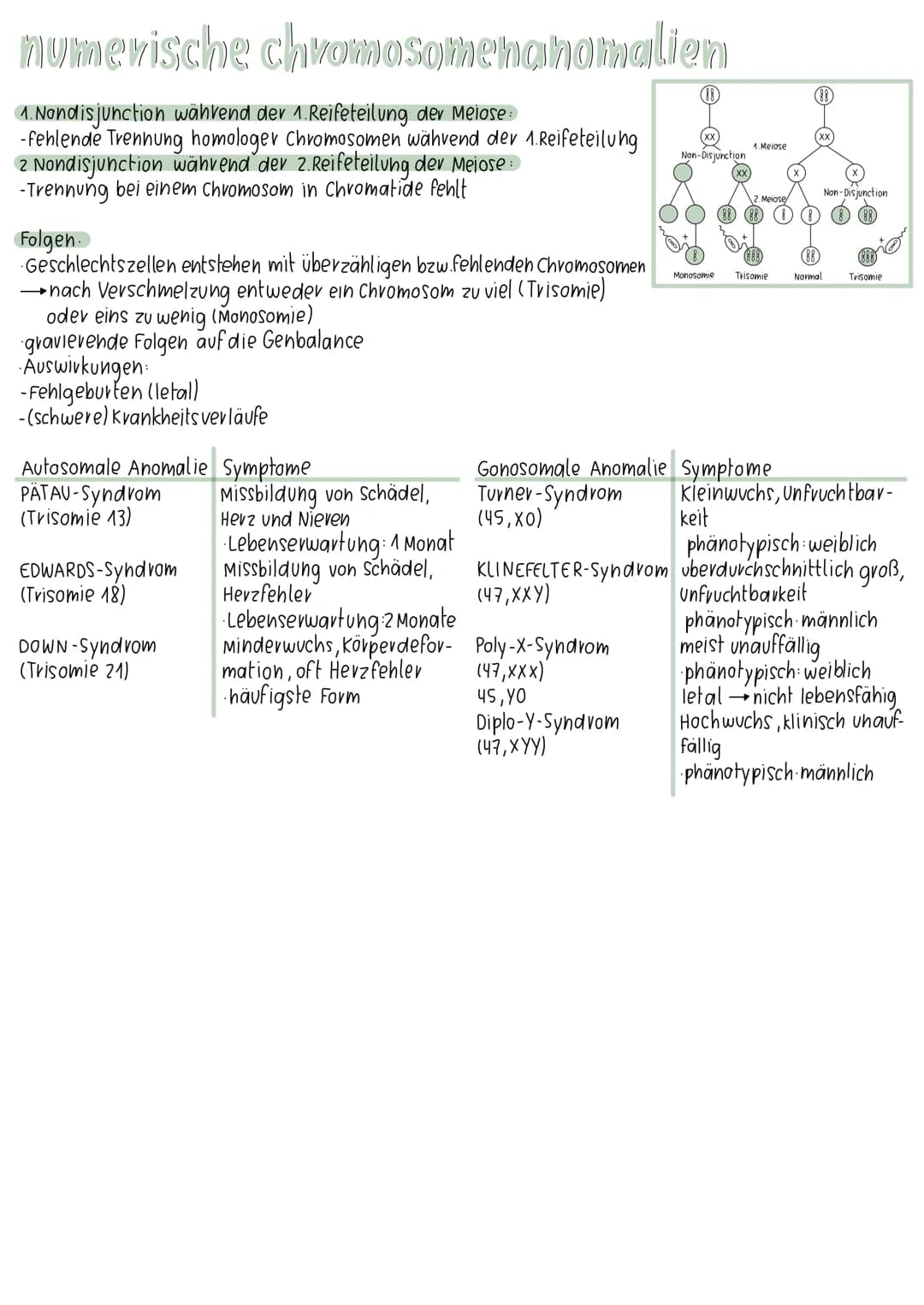 meiose
Interphase I
7
Prophase II
Prophase I
Metaphase II
Metaphase I
Anaphase II
28-881
Anaphase I
Telophase II
Interphase:
Chromosomen und