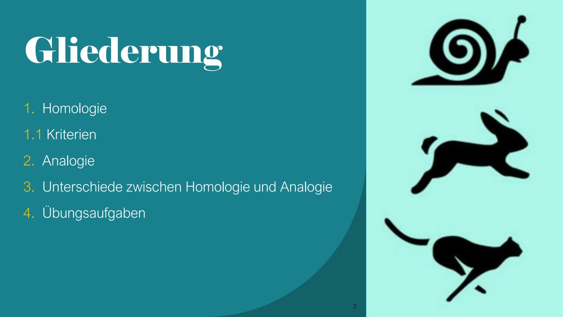 Homologie und Analogie
X/
1
b
2 Gliederung
1. Homologie
1.1 Kriterien
2. Analogie
3. Unterschiede zwischen Homologie und Analogie
4. Übungsa